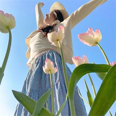 龙潭群英粤语 海报